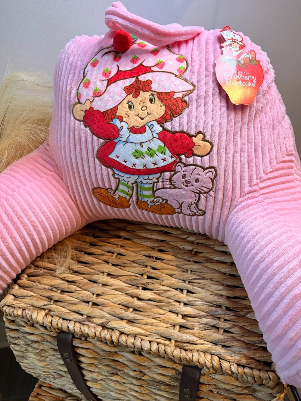 Strawberry shortcake 🍰 
Pink Plush Support Pillow